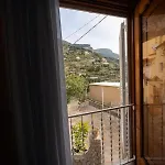 비르지니아 *
